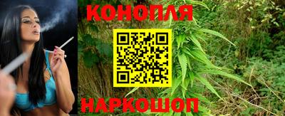 spice Донецк