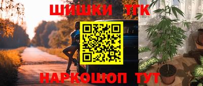 стафф Дубна
