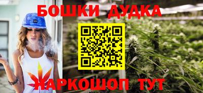 стафф Дубна