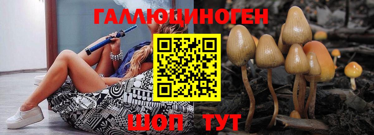 Галлюциногенные грибы ЛСД  купить  цена  Новозыбков  Вход с VPN 